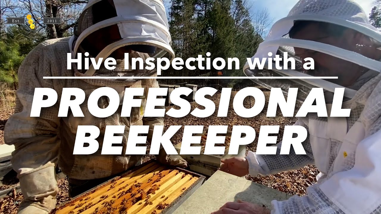 Imker bei der Arbeit am Bienenstand